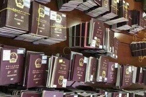 每天的東南亞送簽量